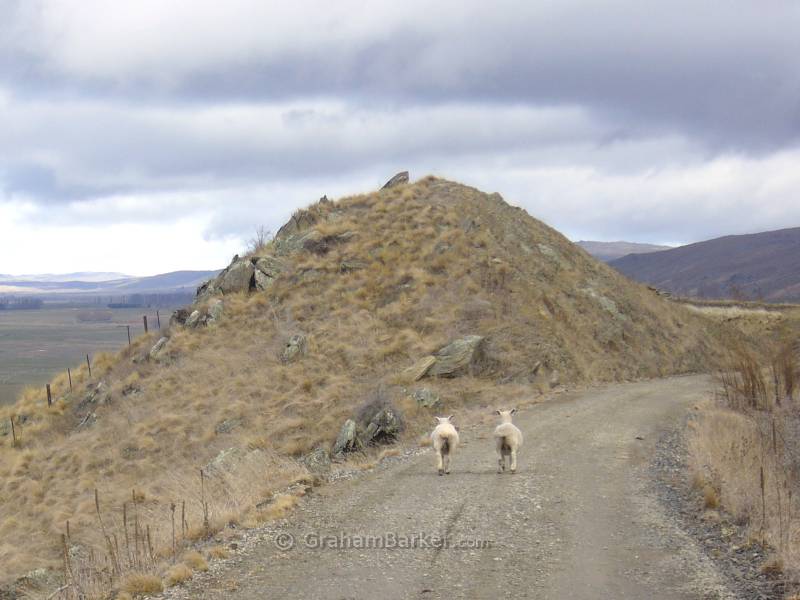Other walkers on the trail, Otago Central Rail Trail, New Zealand