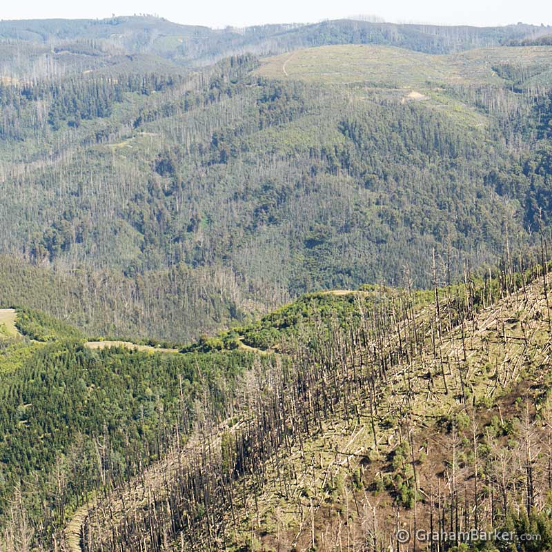Some of the logging country which surrounds Tarra Bulga National Park, Victoria