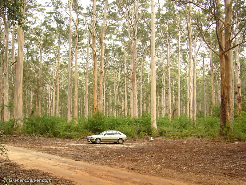 Picnic spot along Boranup Drive, near Margaret River in Western Australia