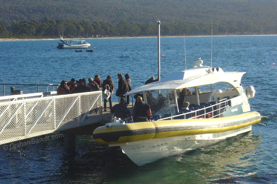 Passengers leaving one of the speedy boats used by Bruny Island Cruises, Tasmania