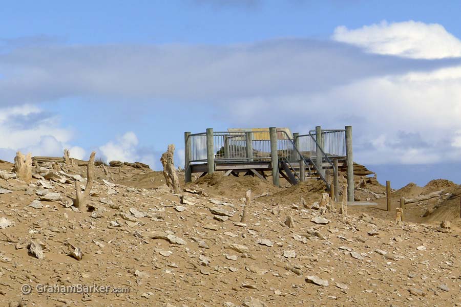 Viewing platform at Calcified Forest, King Island, Tasmania