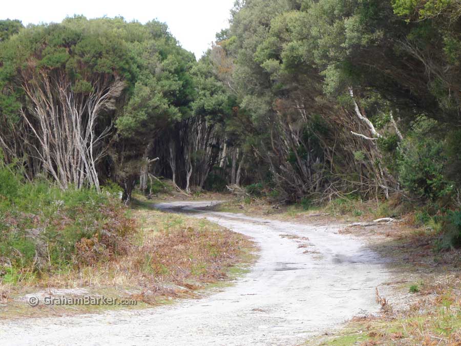 The road to the Calcified Forest, King Island, Tasmania