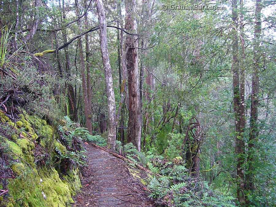 The path to Donaghys Hill lookout, Tasmania