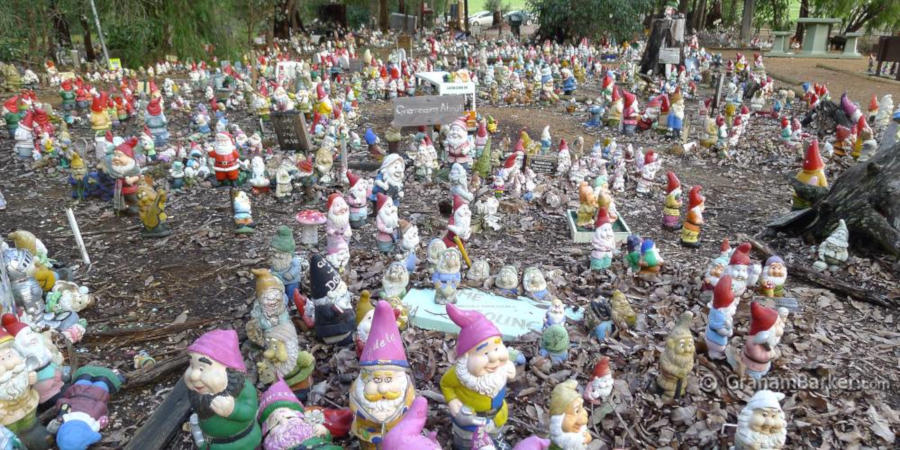 A gathering of gnomes, Gnomesville, Western Australia