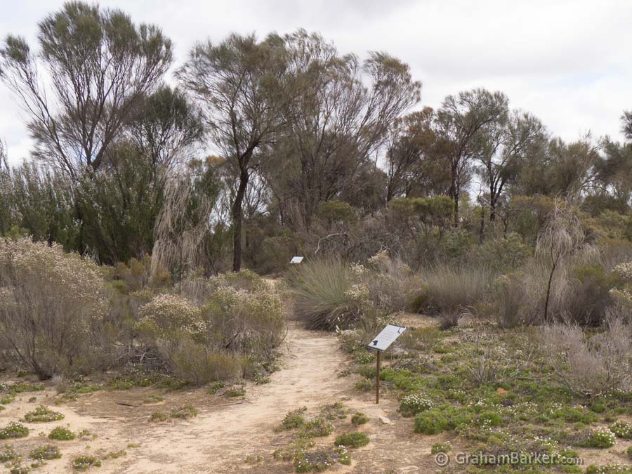 Part of the walk trail, Kukenarup memorial, Ravensthorpe, Western Australia