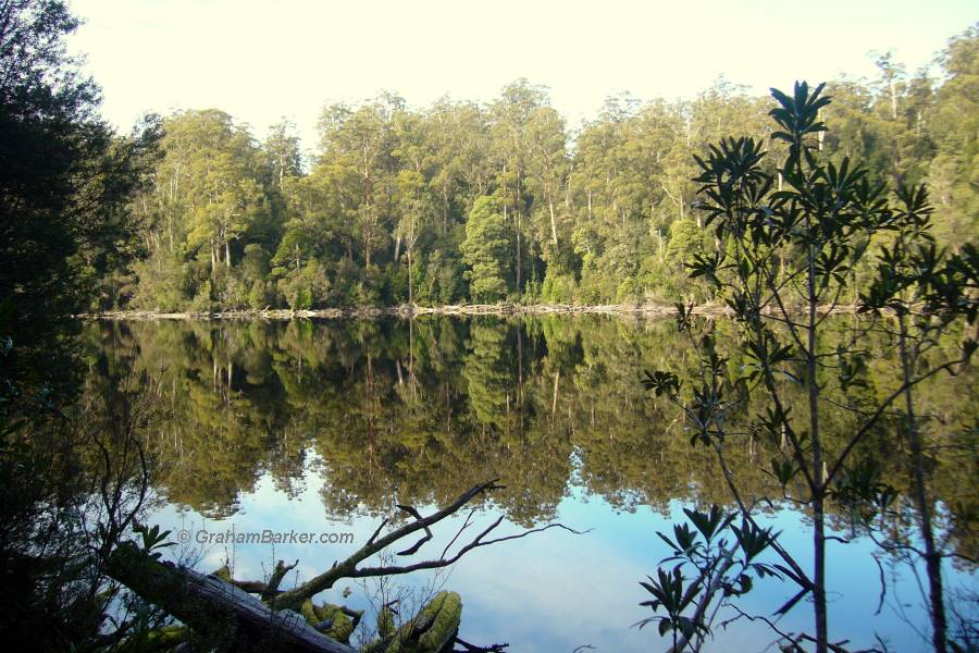 Reflections on Lake Chisholm, northwest Tasmania