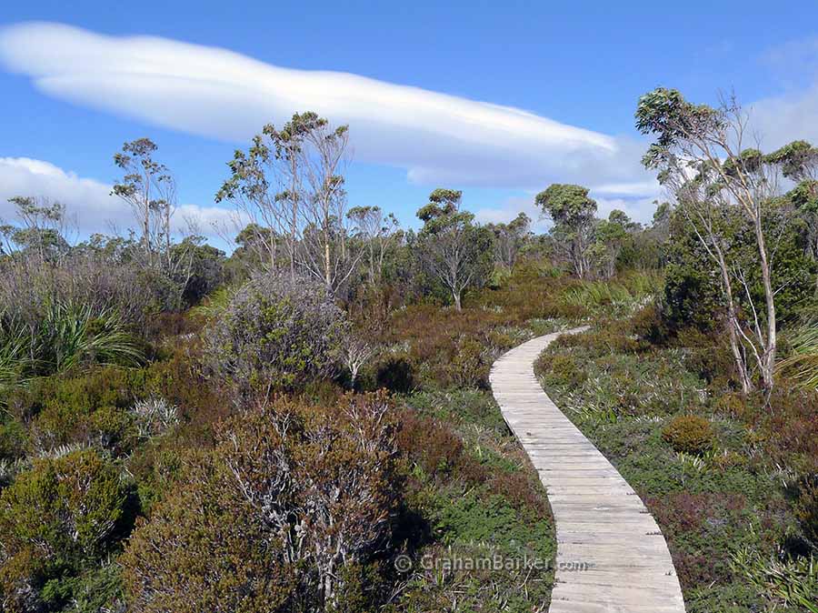 Lake Esperance track, Hartz Mountains, Tasmania