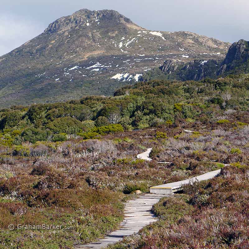 The track to Hartz Peak, Hartz Mountains, Tasmania
