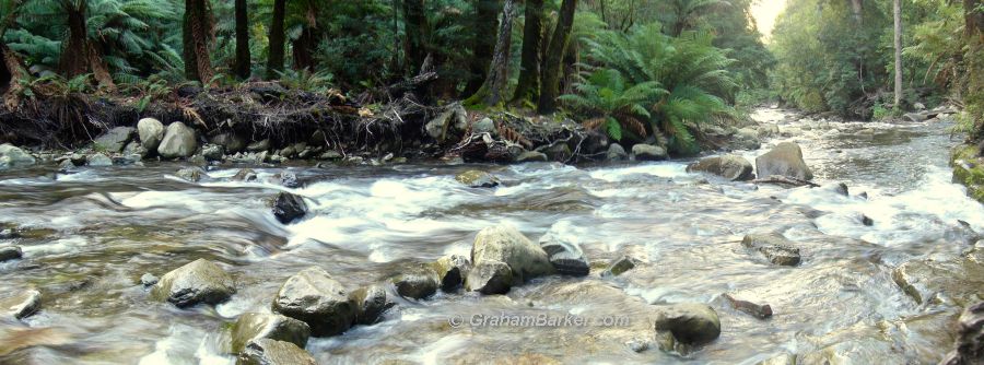 Liffey River below the falls, Tasmania