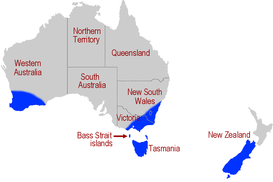 Outline map of Australia and New Zealand
