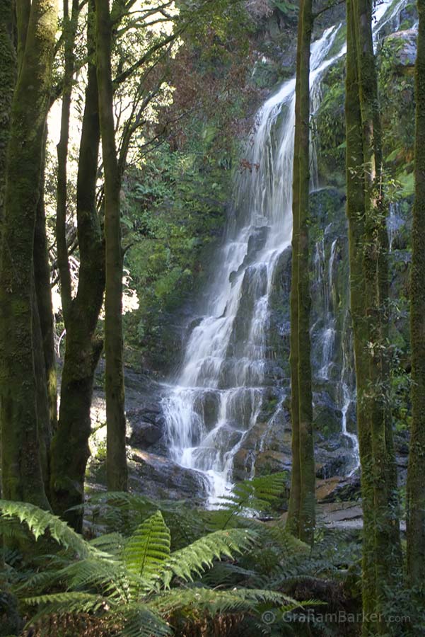 Nelson Falls, Tasmania