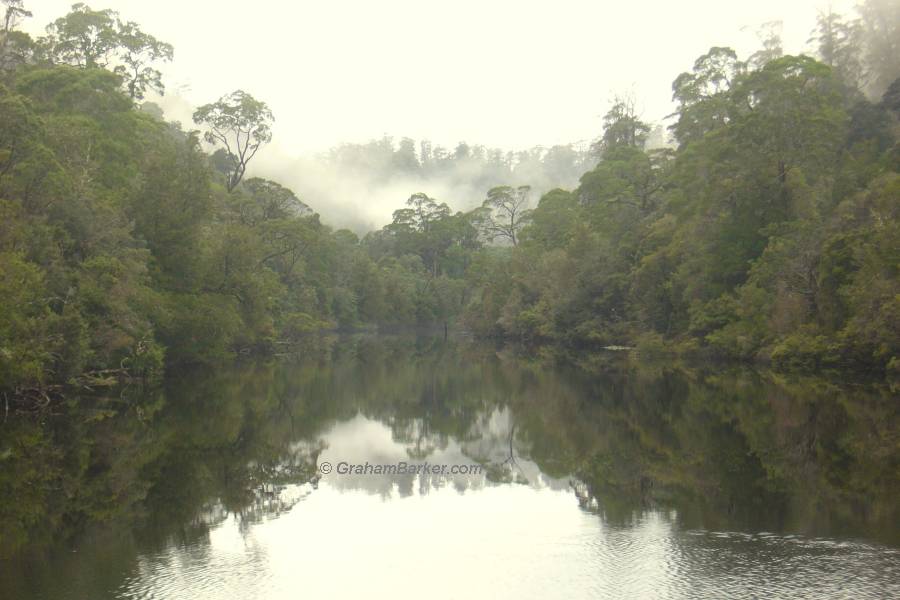 Mist on the Pieman River, Tasmania, Australia