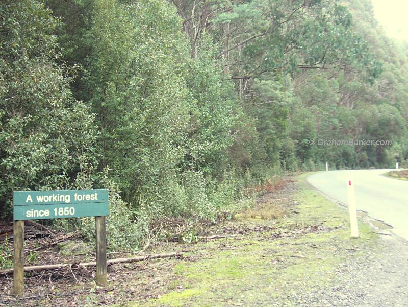 Tasmanian forestry sign: A working forest since 1850