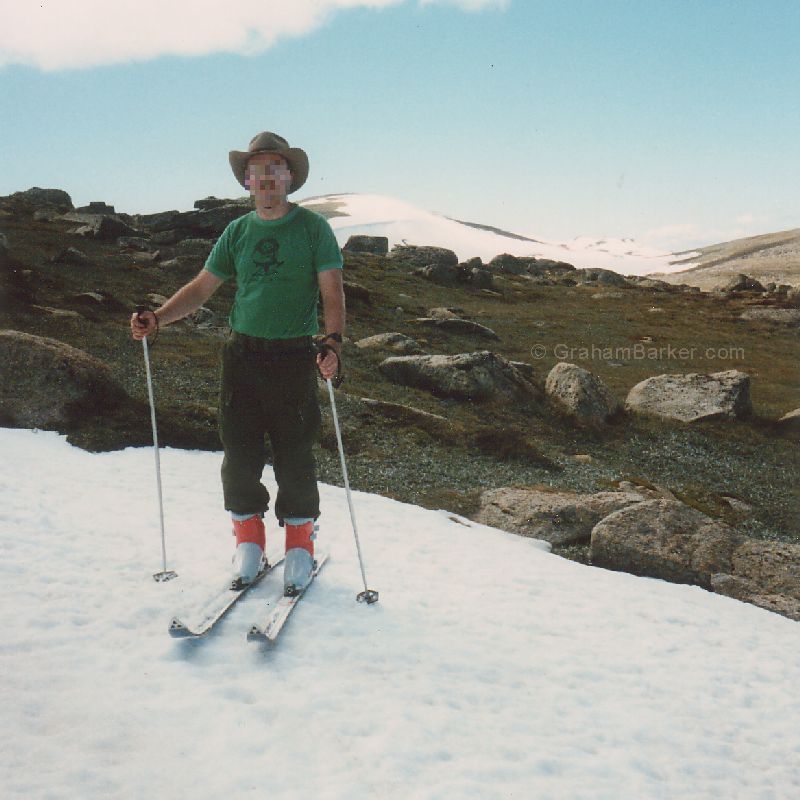 On a Ramshead Range snow patch, NSW Snowy Mountains. Note the rocks nearby.