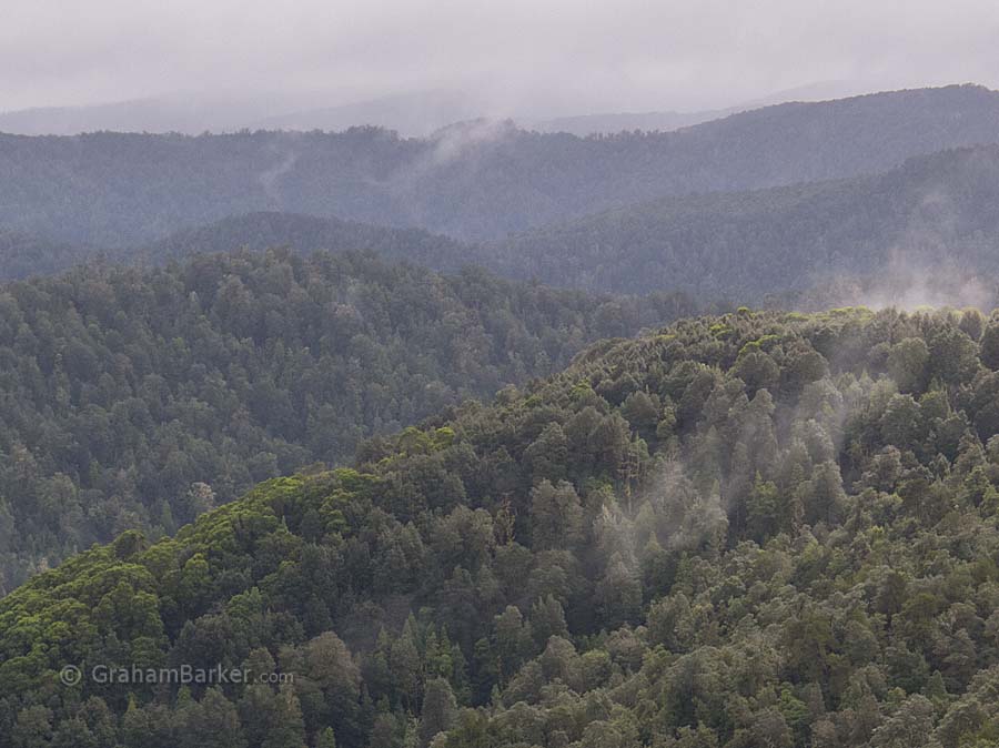 Hills between Corinna and Waratah, Tarkine rainforest, Tasmania