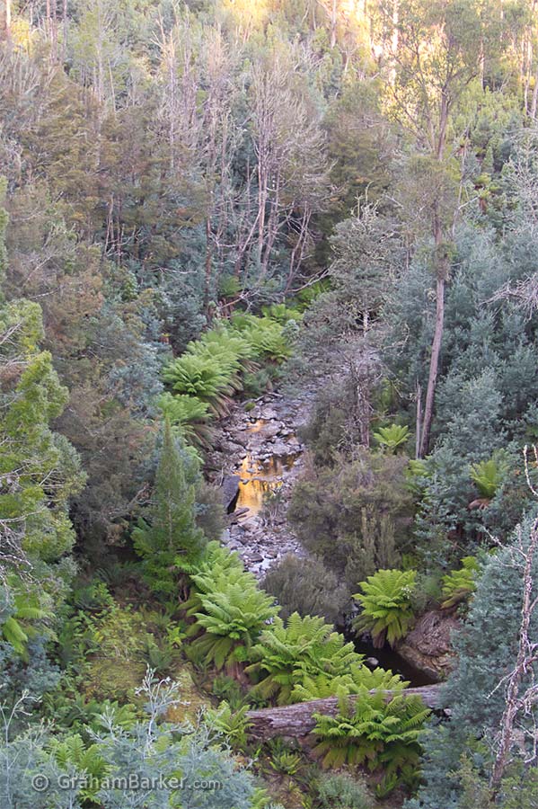 The creek beneath the falls. Tarraleah Falls, Tasmania