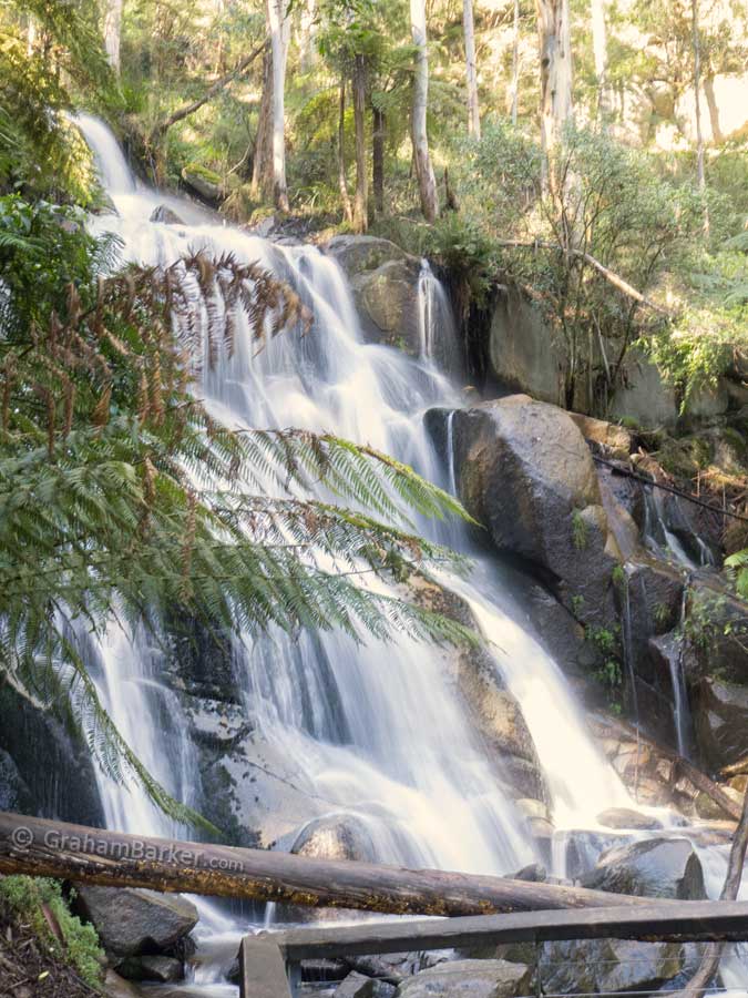 Toorongo Falls, Victoria